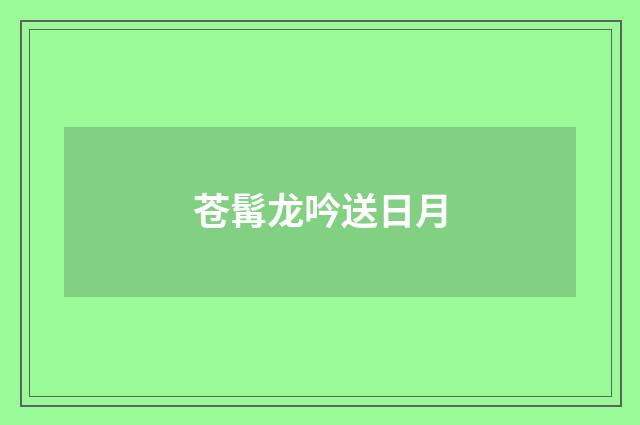 苍髯龙吟送日月