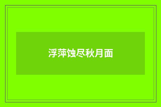 浮萍蚀尽秋月面