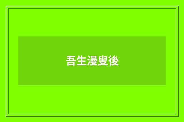 吾生漫叟後