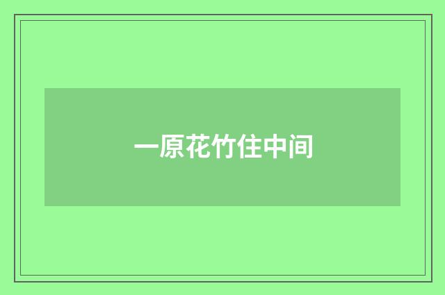 一原花竹住中间