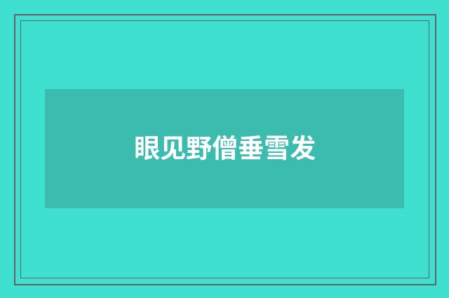 眼见野僧垂雪发
