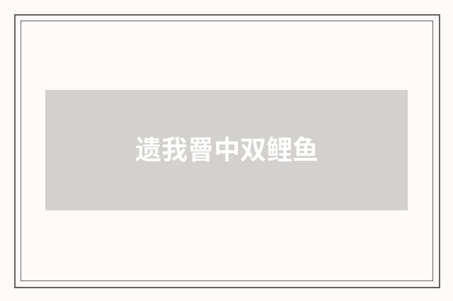 遗我罾中双鲤鱼