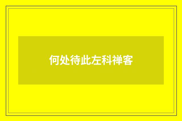 何处待此左科禅客