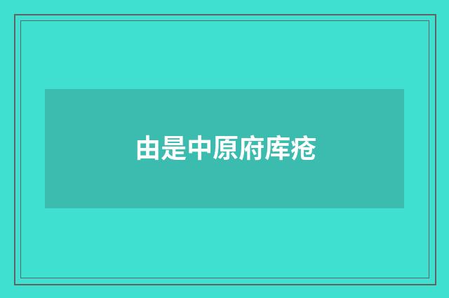 由是中原府库疮