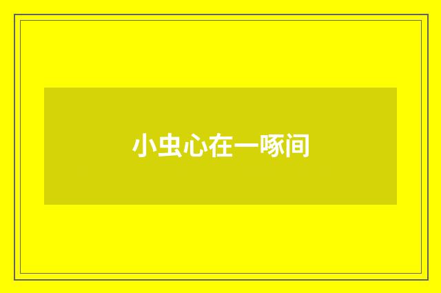 小虫心在一啄间