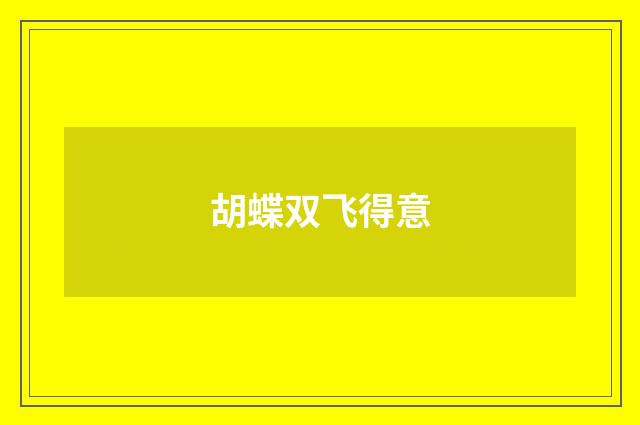 胡蝶双飞得意