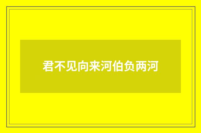 君不见向来河伯负两河
