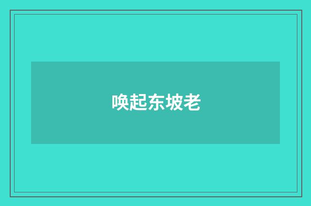唤起东坡老