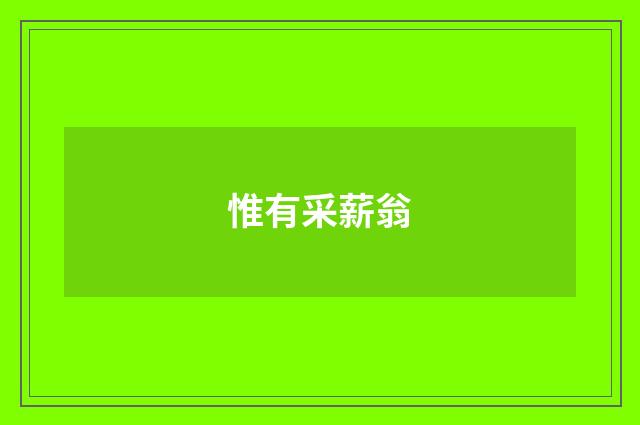惟有采薪翁