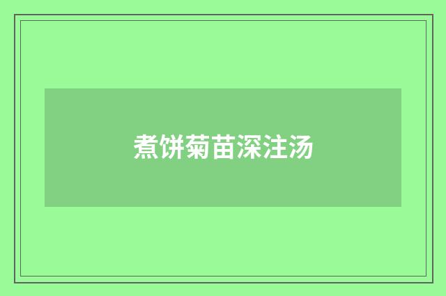 煮饼菊苗深注汤