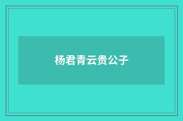 杨君青云贵公子