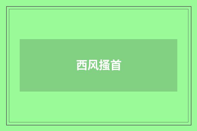 西风搔首