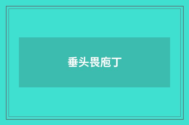 垂头畏庖丁