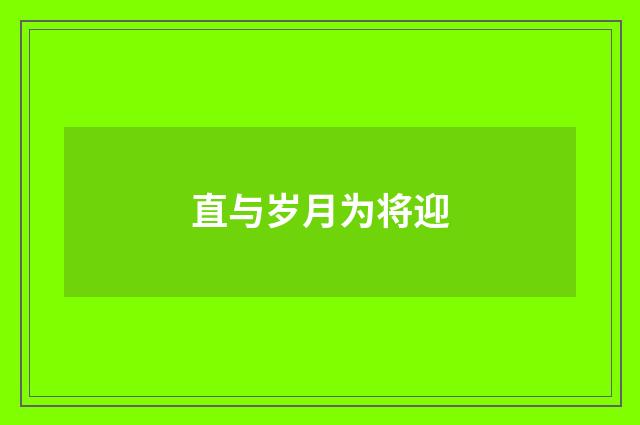 直与岁月为将迎