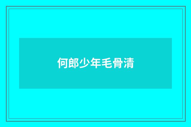 何郎少年毛骨清