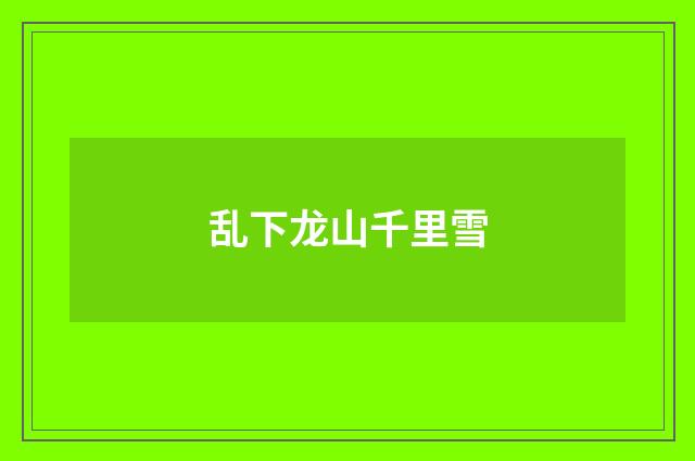 乱下龙山千里雪