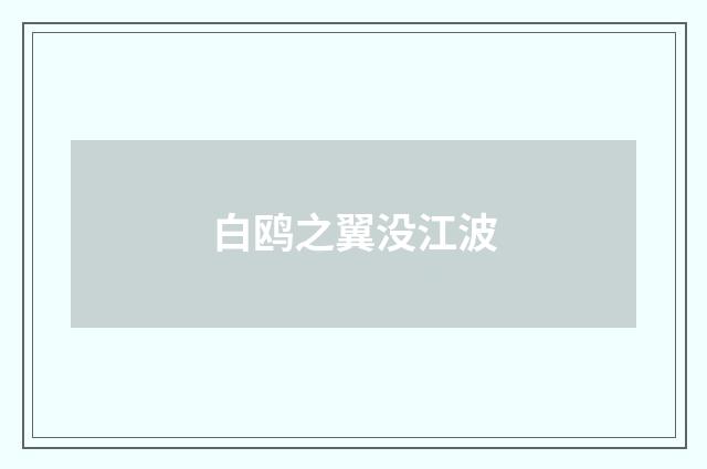 白鸥之翼没江波