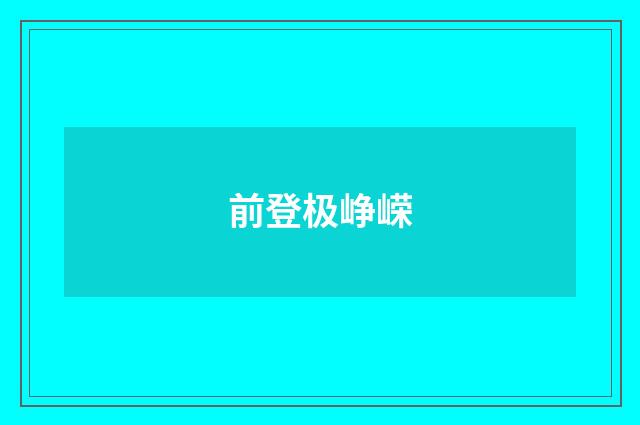 前登极峥嵘
