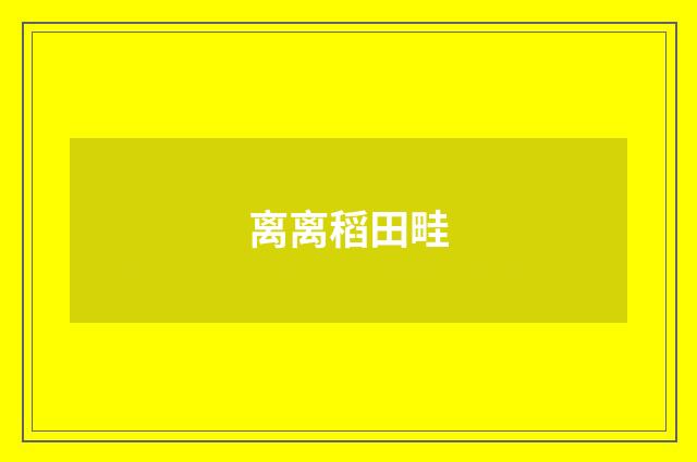 离离稻田畦