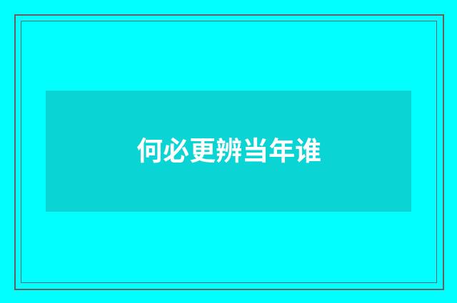 何必更辨当年谁
