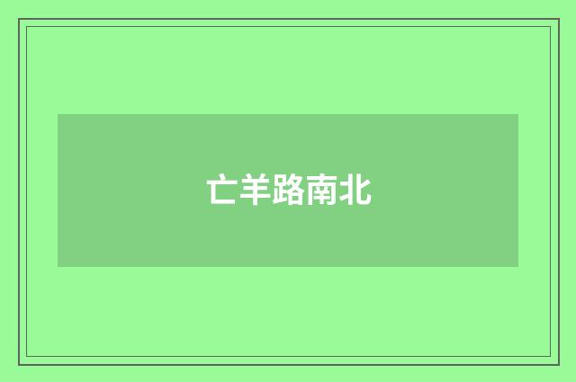 亡羊路南北