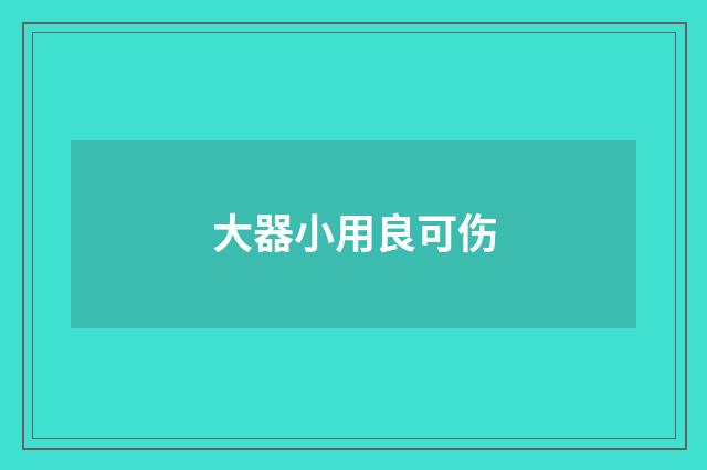 大器小用良可伤