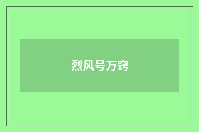 烈风号万窍