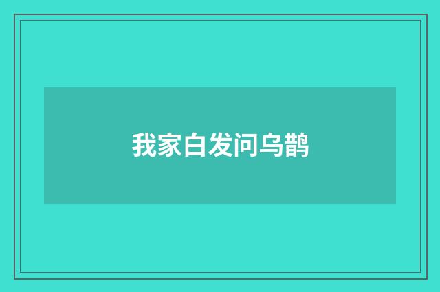 我家白发问乌鹊