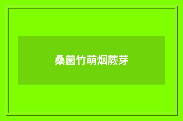 桑菌竹萌烟蕨芽