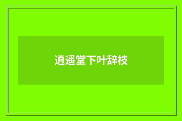 逍遥堂下叶辞枝