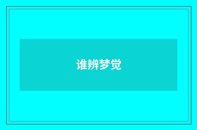 谁辨梦觉