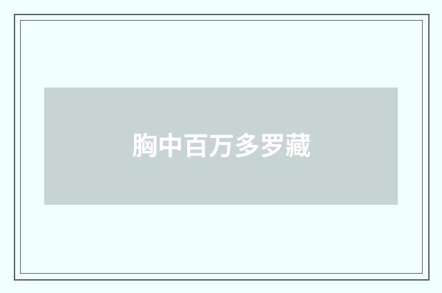 胸中百万多罗藏