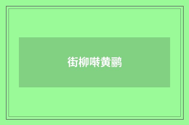 街柳啭黄鹂