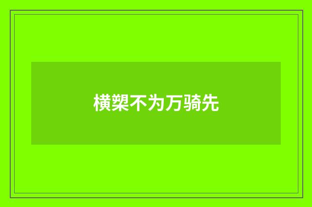 横槊不为万骑先