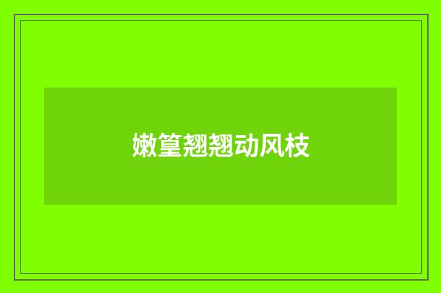 嫩篁翘翘动风枝