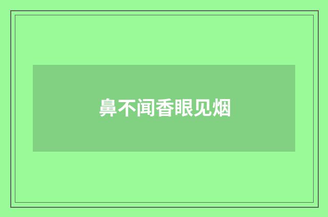 鼻不闻香眼见烟