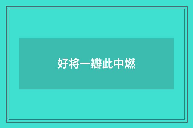 好将一瓣此中燃