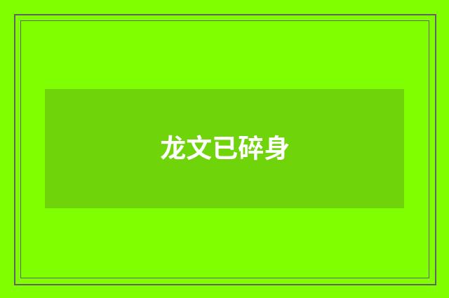 龙文已碎身