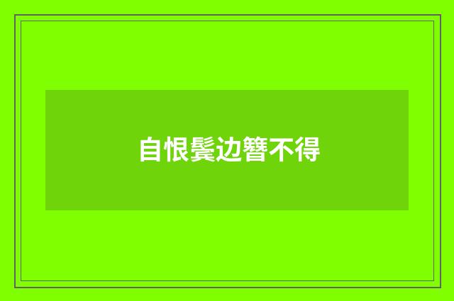 自恨鬓边簪不得