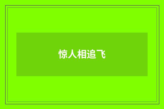 惊人相追飞