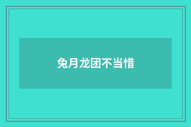 兔月龙团不当惜