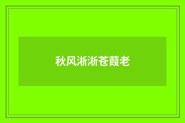秋风淅淅苍葭老