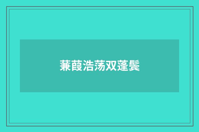 蒹葭浩荡双蓬鬓