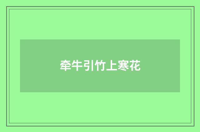 牵牛引竹上寒花
