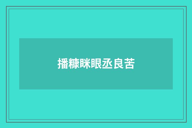 播糠眯眼丞良苦