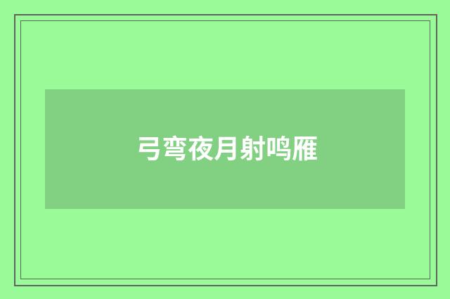 弓弯夜月射鸣雁