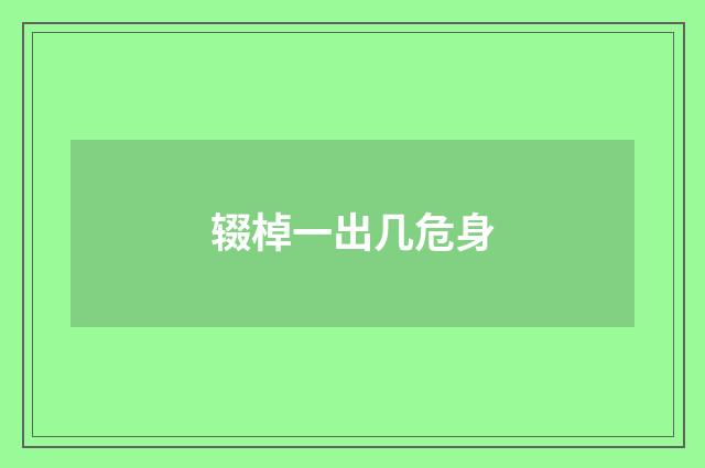 辍棹一出几危身