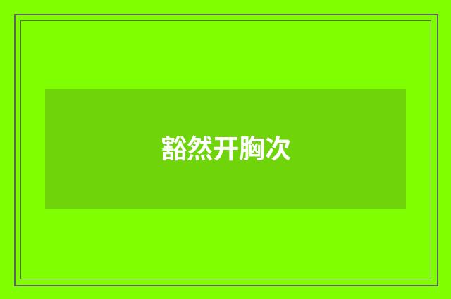 豁然开胸次