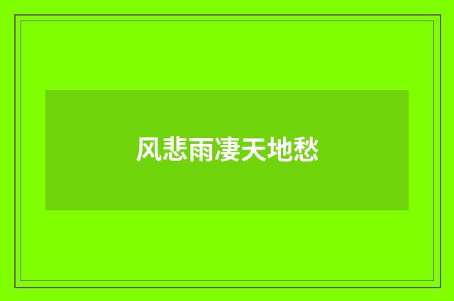 风悲雨凄天地愁