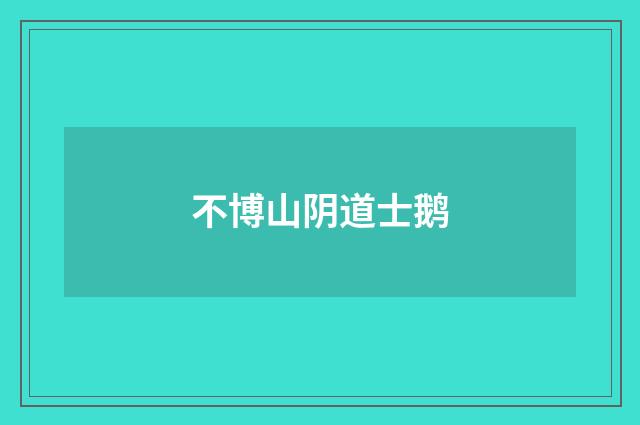 不博山阴道士鹅